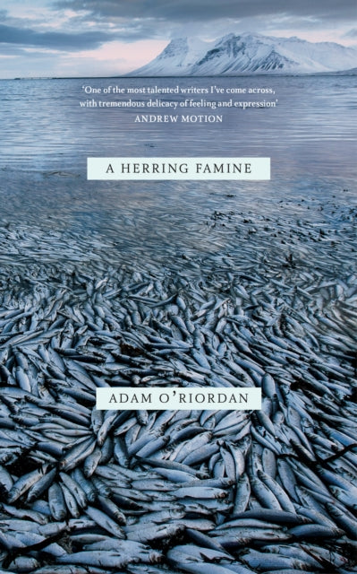 A Herring Famine - 9780701187972