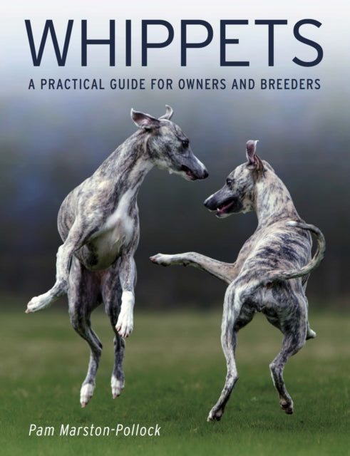 Whippets : A Practical Guide for Owners and Breeders - 9780719842955
