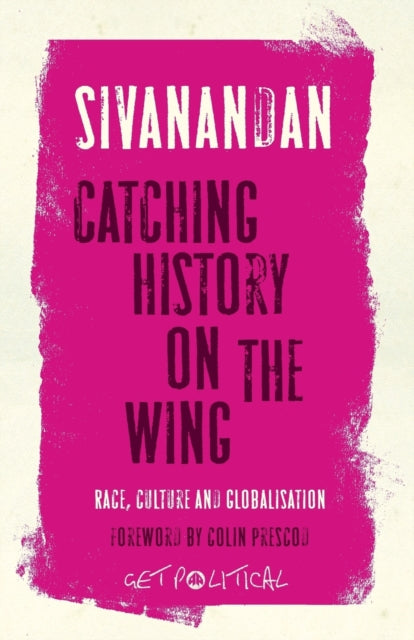 Catching History on the Wing : Race, Culture and Globalisation - 9780745328348