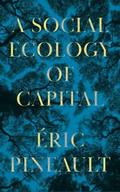 A Social Ecology of Capital - 9780745343778