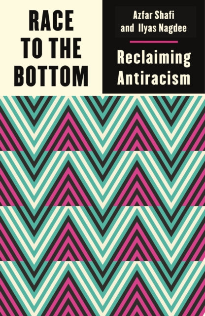 Race to the Bottom : Reclaiming Antiracism - 9780745344676