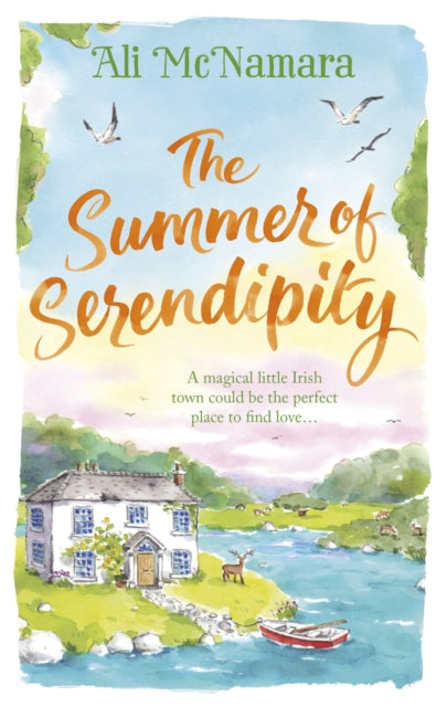 The Summer of Serendipity : The magical feel good perfect holiday read - 9780751566208