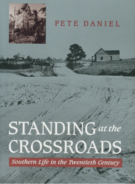 Standing at the Crossroads : Southern Life in the Twentieth Century - 9780801854958