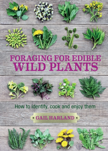 Foraging for Edible Wild Plants : How to identify, cook and enjoy them - 9780857845511