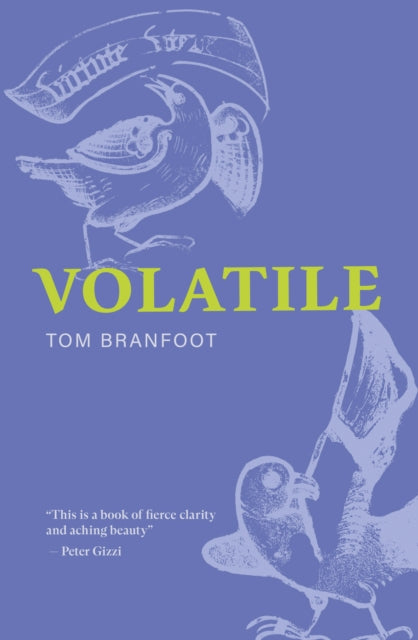 Volatile - 9781068488092