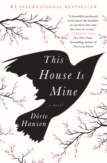This House Is Mine - 9781250100856