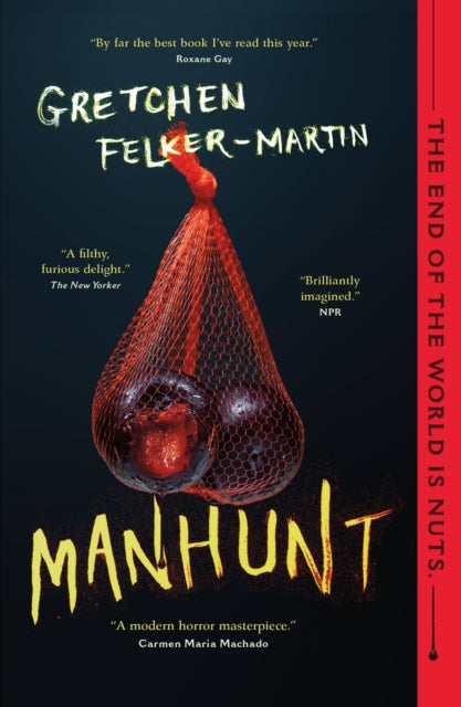 Manhunt - 9781250794642