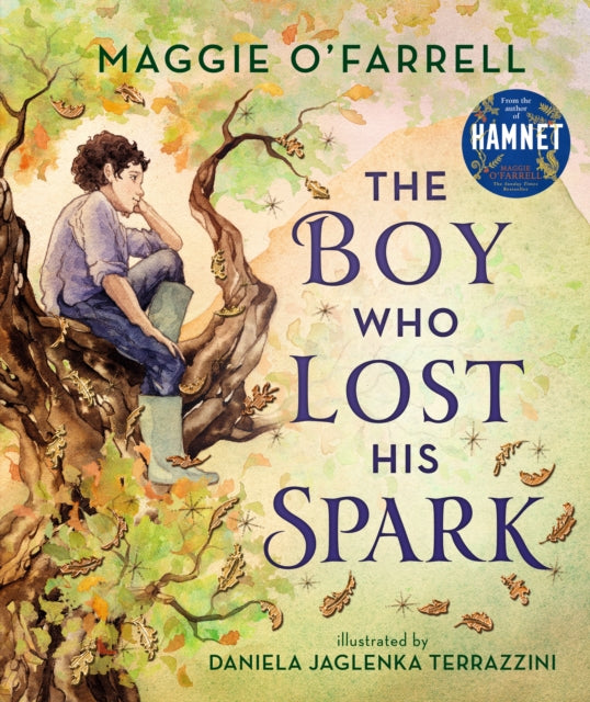 The Boy Who Lost His Spark - 9781406392012