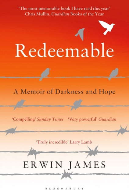 Redeemable : A Memoir of Darkness and Hope - 9781408849323