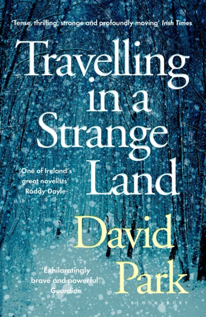 Travelling in a Strange Land : Winner of the Kerry Group Irish Novel of the Year - 9781408892756
