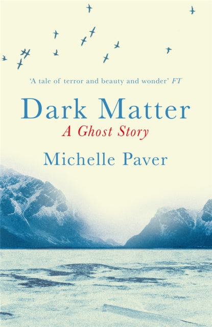 Dark Matter : the gripping ghost story from the author of WAKENHYRST - 9781409121183