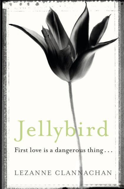Jellybird - 9781409127963