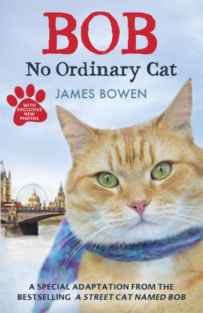 Bob : No Ordinary Cat - 9781444764901