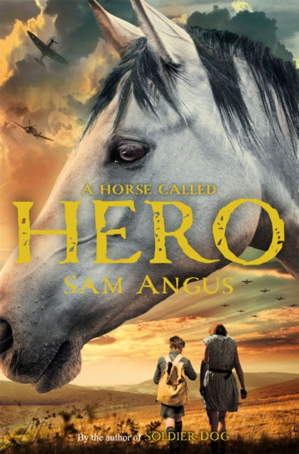 A Horse Called Hero - 9781447235774