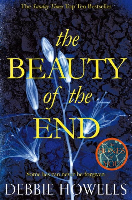 The Beauty of the End - 9781447278139