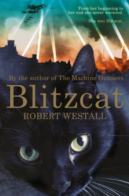 Blitzcat - 9781447284604