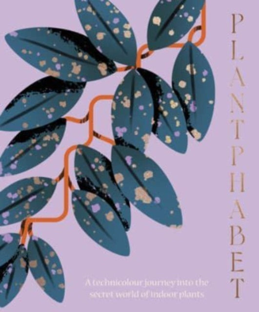 Plantphabet : A stunningly illustrated A-Z celebration of popular indoor plants, for fans of Plant Society, Leaf Supply and Plantopedia - 9781460760604