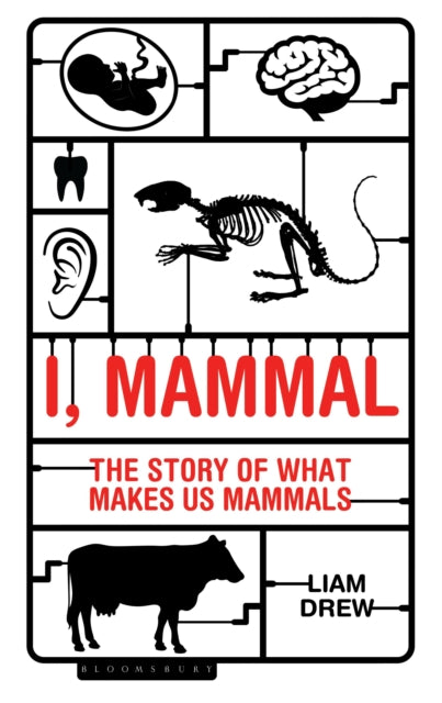 I, Mammal : The Story of What Makes Us Mammals - 9781472922915