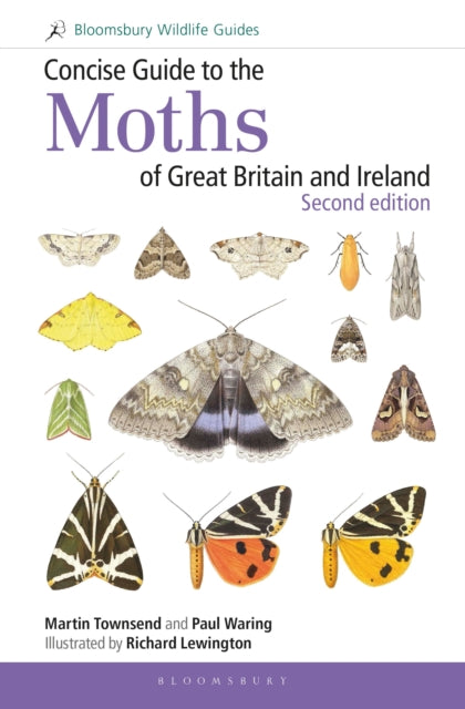 Concise Guide to the Moths of Great Britain and Ireland: Second edition - 9781472957283