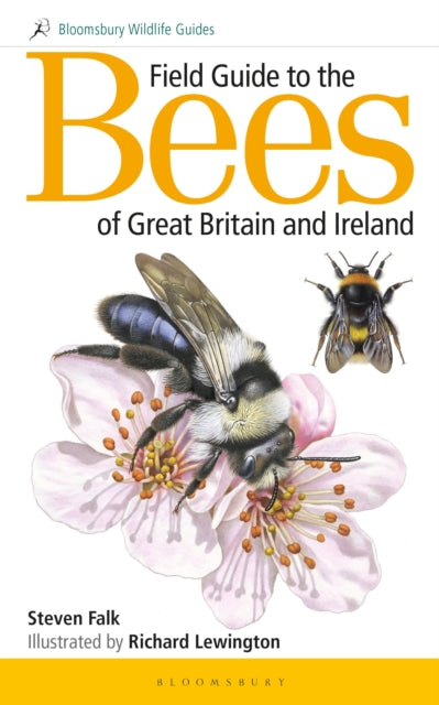 Field Guide to the Bees of Great Britain and Ireland - 9781472967053