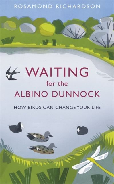 Waiting for the Albino Dunnock : How Birds Can Change Your Life - 9781474603003