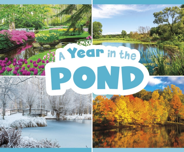 A Year in the Pond - 9781474795487