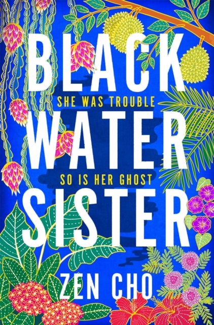 Black Water Sister - 9781509800018