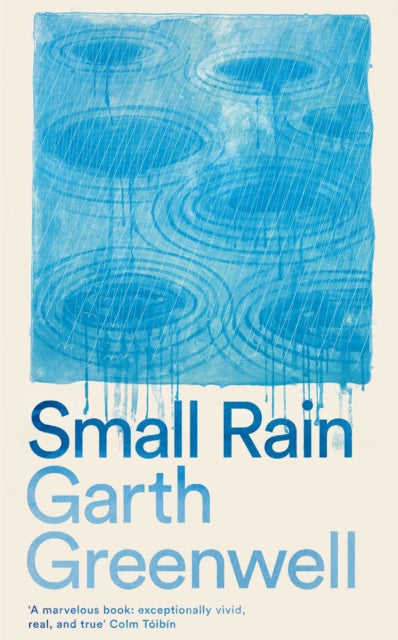 Small Rain - 9781509874699