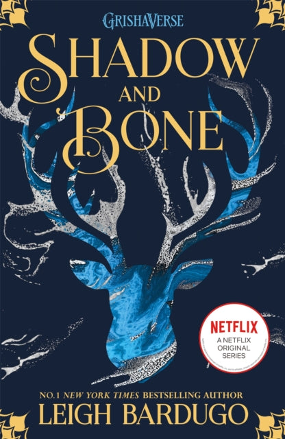 Shadow and Bone: Shadow and Bone : Book 1 - 9781510105249