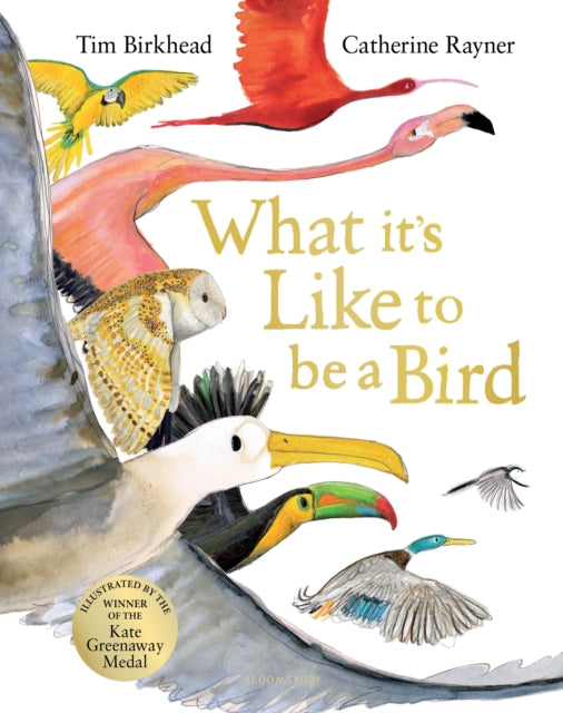 What it's Like to be a Bird - 9781526604125