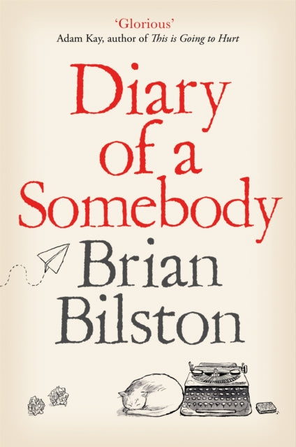 Diary of a Somebody - 9781529005561