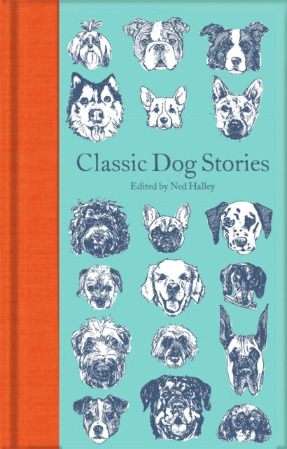 Classic Dog Stories - 9781529021059