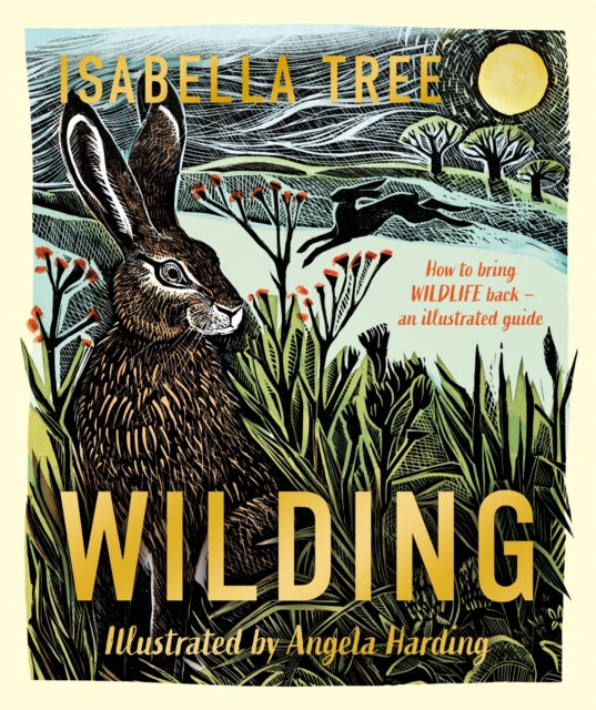 Wilding: How to Bring Wildlife Back - an Illustrated Guide - 9781529092844