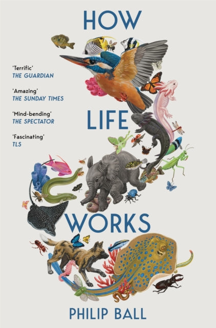 How Life Works : A User’s Guide to the New Biology - 9781529096002
