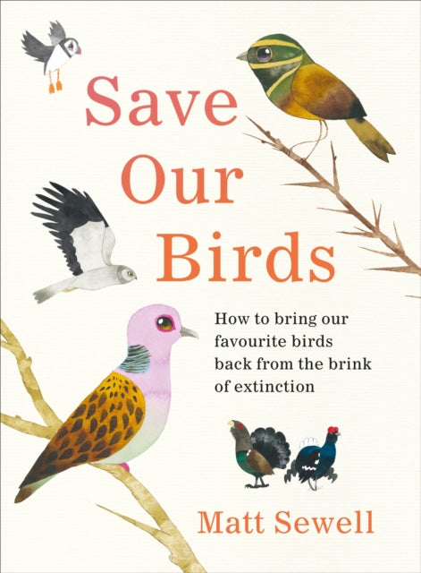 Save Our Birds : How to bring our favourite birds back from the brink of extinction - 9781529107944