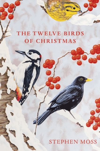 The Twelve Birds of Christmas - 9781529110104