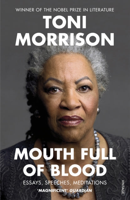 Mouth Full of Blood : Essays, Speeches, Meditations - 9781529110883