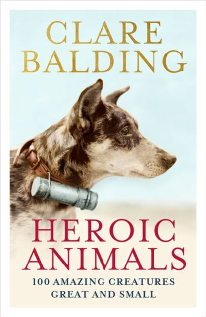 Heroic Animals : Amazing Creatures that Changed Our World - 9781529343847