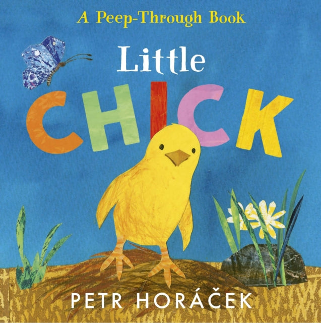 Little Chick - 9781529517361