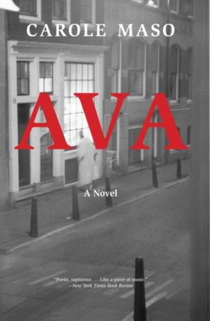 Ava : A Novel - 9781564780744