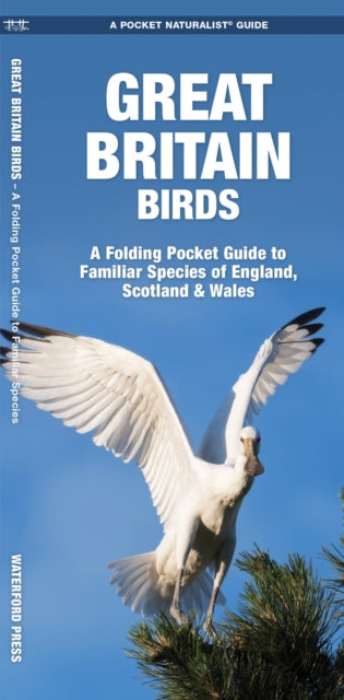 Great Britain Birds : A Folding Pocket Guide to Familiar Species of England, Scotland & Wales - 9781620053546