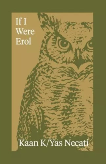If I Were Erol - 9781738487127