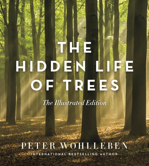 The Hidden Life of Trees : The Illustrated Edition - 9781771643481