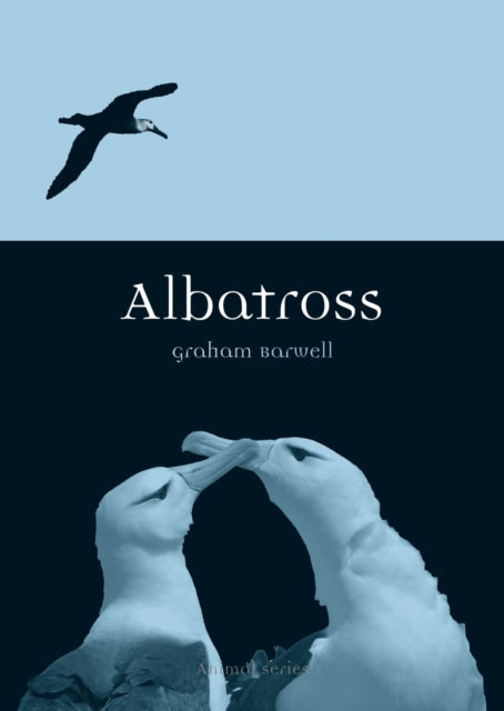 Albatross - 9781780231914