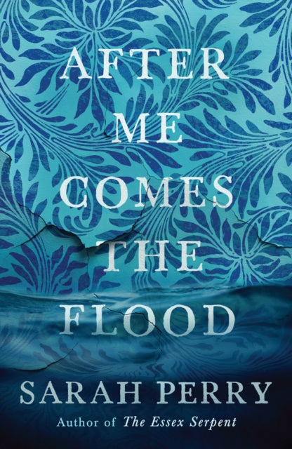 After Me Comes the Flood : From the author of The Essex Serpent - 9781781259559