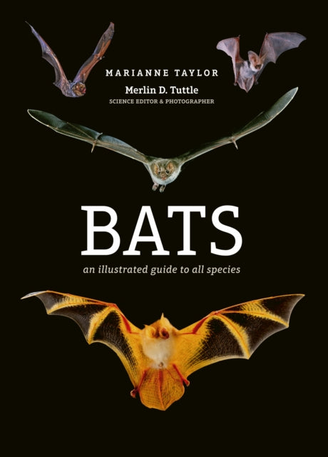 Bats : An illustrated guide to all species - 9781782405573