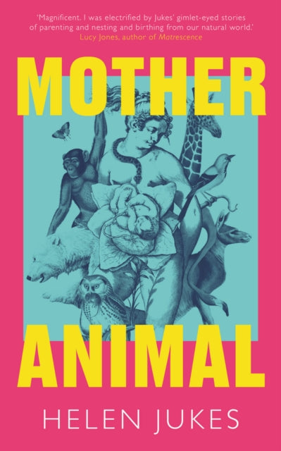 Mother Animal - 9781783968381