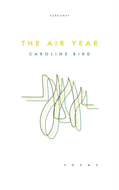 The Air Year - 9781784109028