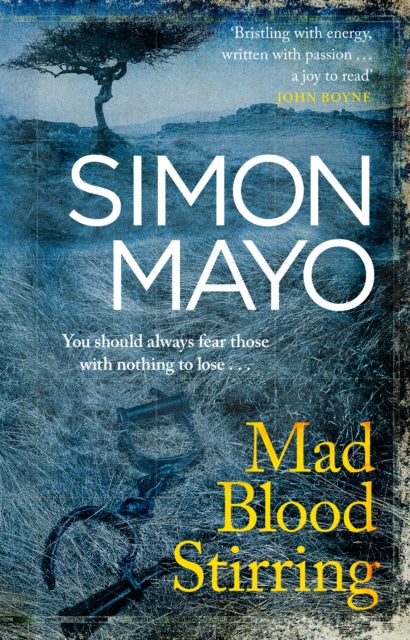 Mad Blood Stirring - 9781784162962
