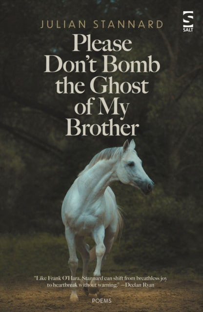 Please Don’t Bomb the Ghost of My Brother - 9781784633066